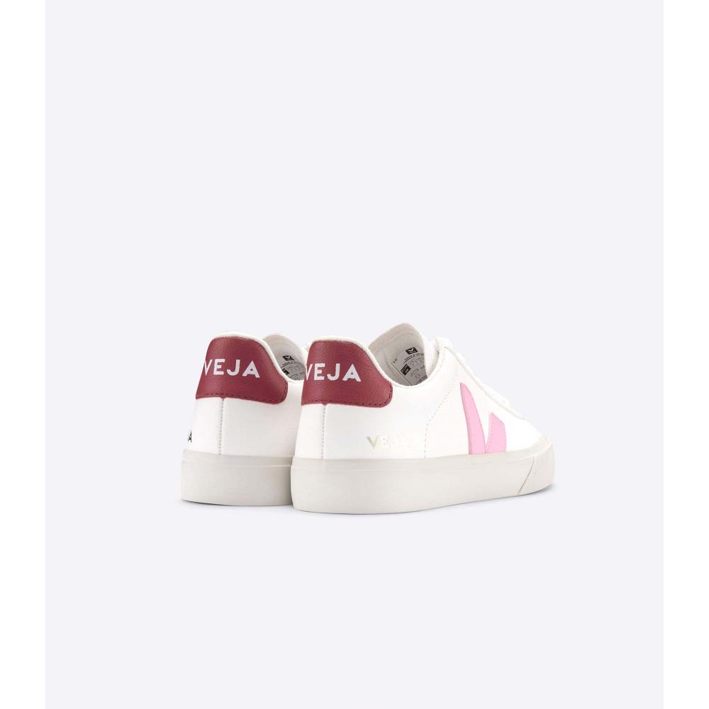 White/Pink Men's Veja CAMPO CHROMEFREE Low Tops Sneakers | AU 193WNB